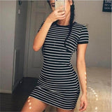 Zebra Style Women Dress